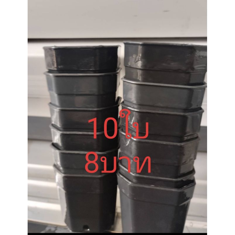 กระถางขนาด 2นิ้ว มือสอง ชุด10ใบ