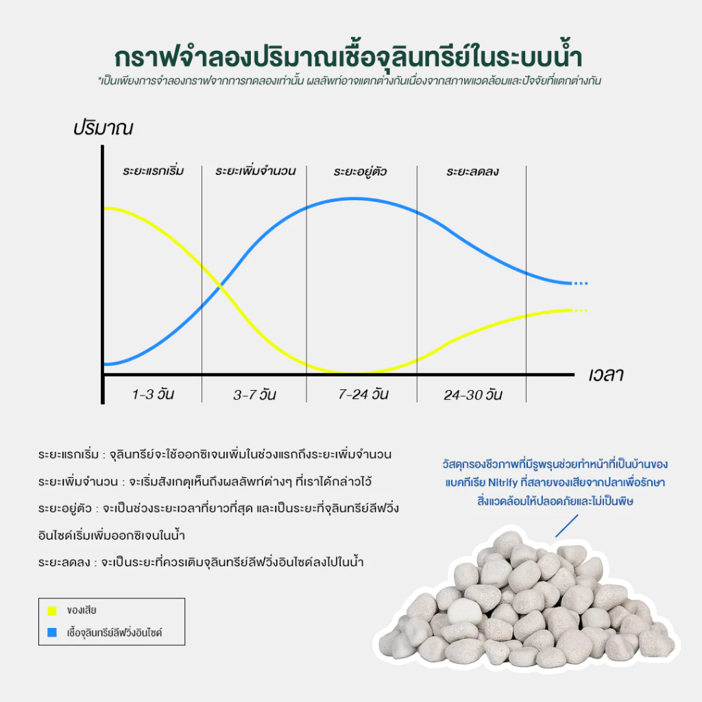 Living Instinct จุลินทรีย์บ่อปลา-ตู้ปลา น้ำใส ลดตะไคร่ กลิ่น thumbnail 5