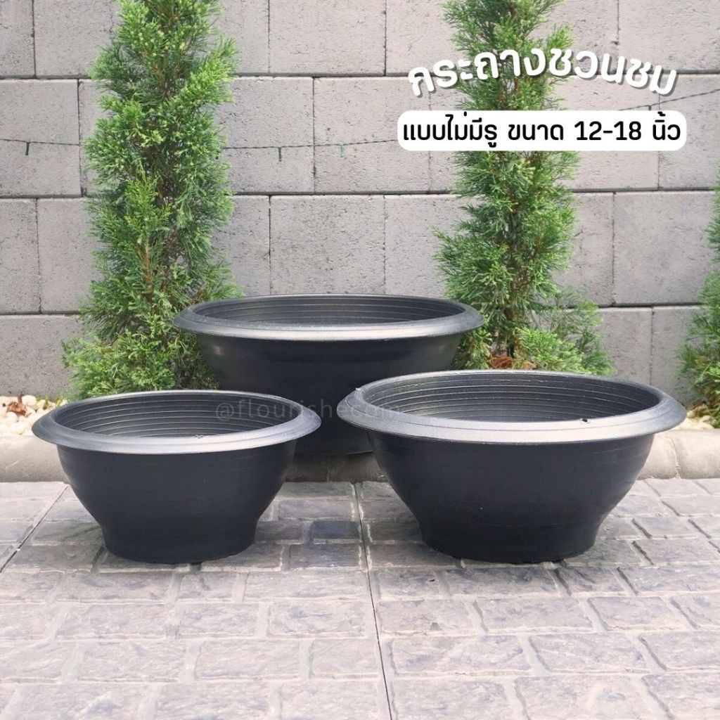 อ่างบัว กระถางชวนชม 12",16",18 อ่างปลูกไม้น้ำ