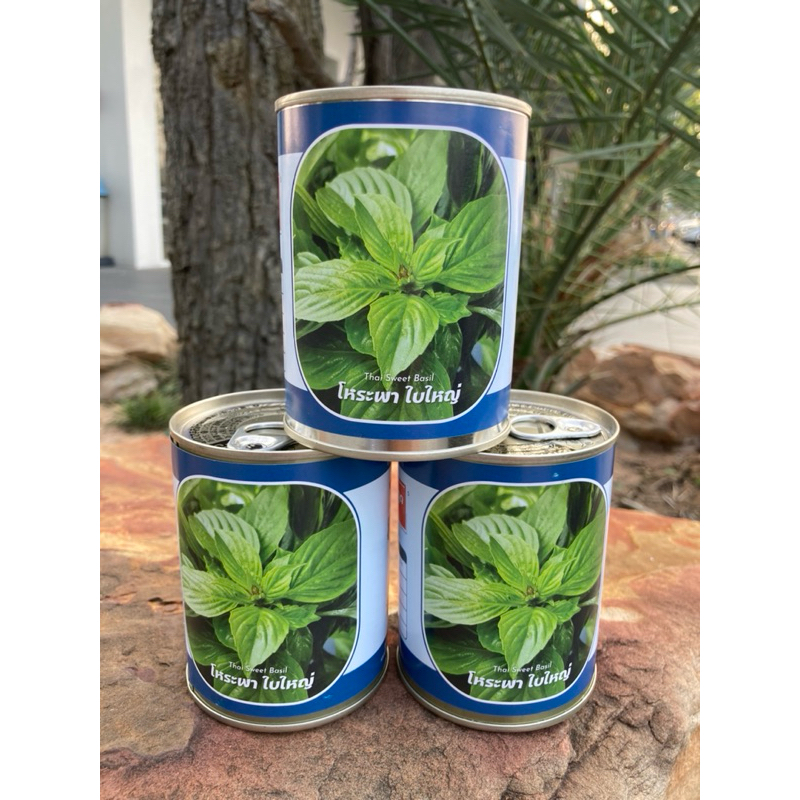 โหระพาใบใหญ่ โหระพา บรรจุ 50 กรัม (ประมาณ 25,000 เมล็ด) สิ้นอายุทำพันธ์  10 / 70