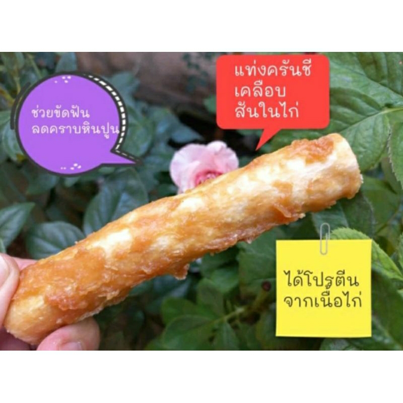 ขนมสุนัข ขัดฟันสุนัข ครันชีแท่งนมเคลือบไก่ ยาวประมาณ 5 นิ้ว(ราคาต่อชิ้น)