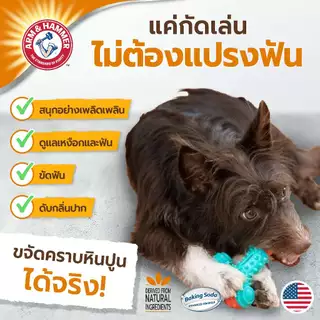[แบรนด์แท้ USA🇺🇸] Arm and Hammer Treadz ของเล่นสุนัข ดูแลเหงือกและฟัน กอริล่า ตัวใหญ่