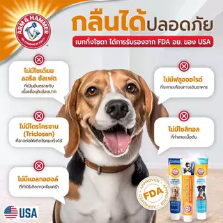 หมดอายุ 30/11/2026 Arm and Hammer ยาสีฟันลูกสุนัข รสเนยถั่ว จัมโบ้ไซส์ 175.8 ก.