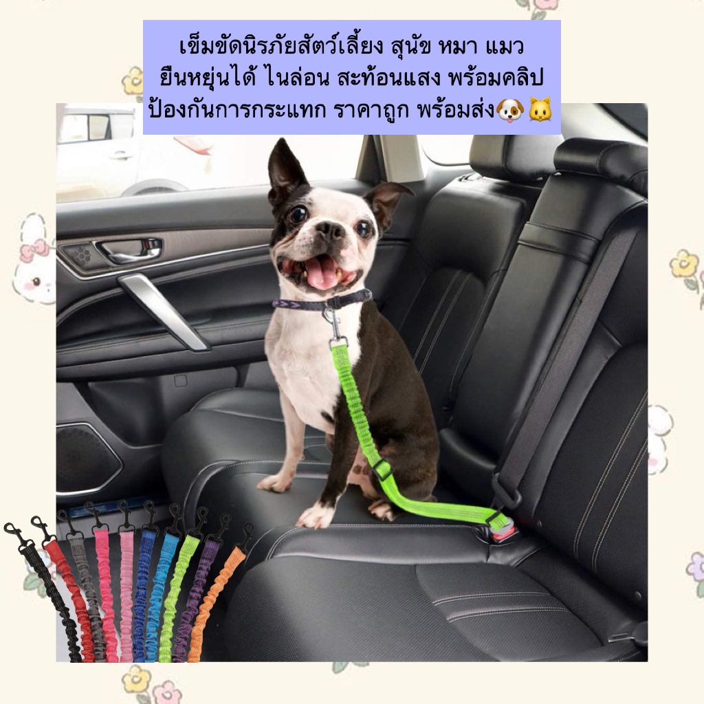 AL-854 เข็มขัดนิรภัยสัตว์เลี้ยง สุนัข หมา แมว ยืนหยุ่นได้ ไนล่อน สะท้อนแสง พร้อมคลิป ป้องกันการกระแทก ราคาถูก พร้อมส่ง🐶🐱
