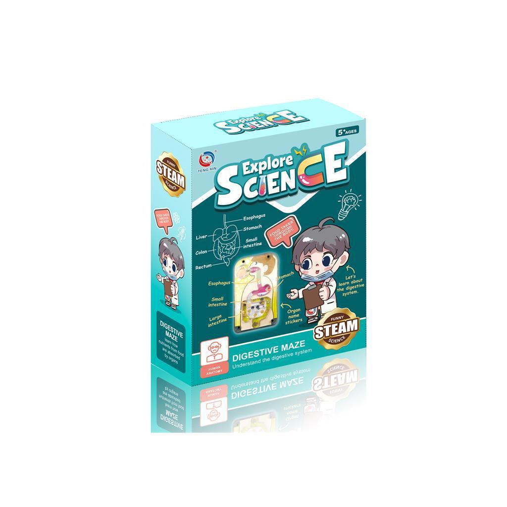 พร้อมส่ง  เกมเขาวงกต ระบบย่อยอาหาร เรียนรู้ร่างกาย ของเรา