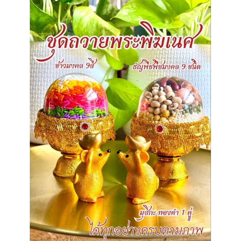 ￼สุดปัง คุ้มสุด ชุดถวายองค์เทพฮินดู ชุดถวายพระพิฆเนศ ชุดไหว้พระแม่ พระศิวะ พระพรหม มุสิกะ ข้าวมงคล ธัญพืชมงคล