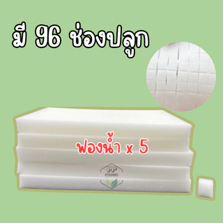 ฟองน้ำเพาะเมล็ด ฟองน้ำเพาะผักไฮโดรโปนิกส์ ผักสลัด ** 96 ช่องปลูก** เนื้อละเอียด แบบมีขอบ