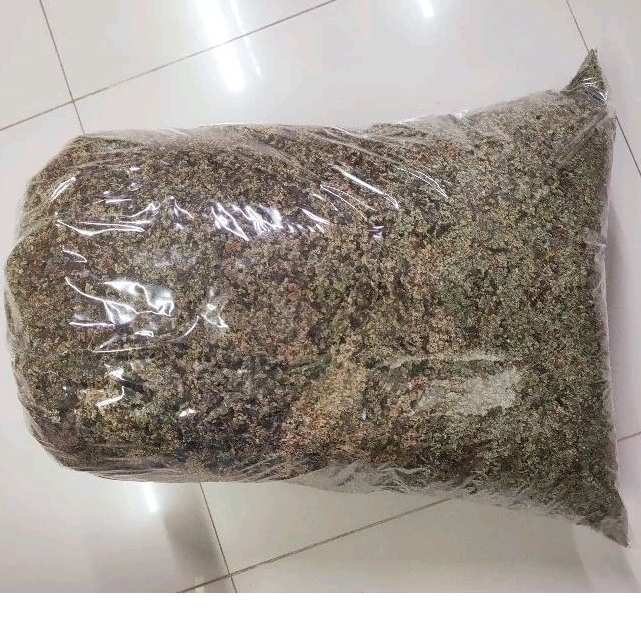 แหนแดงแห้ง  อะซอลล่า ไมโครฟิลล่า (Azolla microphylla