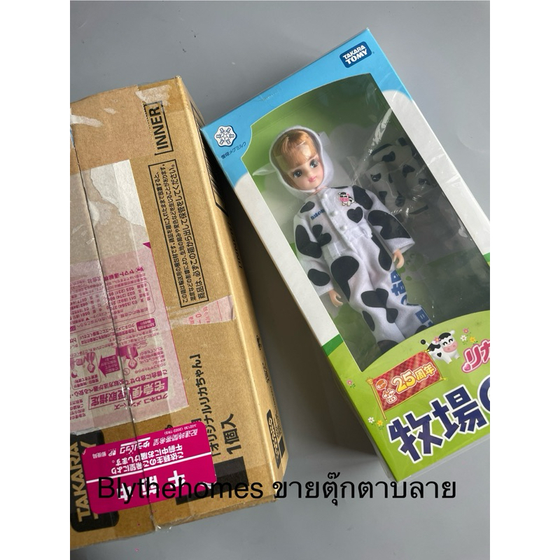 Licca rare Cow 25 year