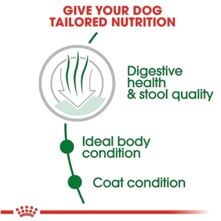 [3KG]Royal Canin อาหารสุนัขสูตร MINI INDOOR ADULT สุนัขโต พันธุ์เล็ก เลี้ยงในบ้านขนาด 3 กก.