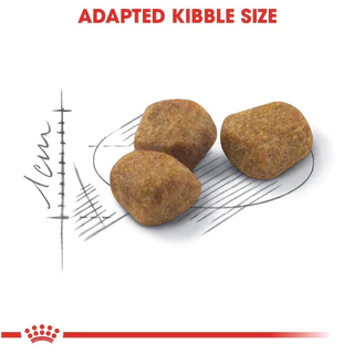 [INDOOR 7ปี+ แมวแก่] Royal Canin อาหารแมวแก่ ชนิดเม็ด INDOOR 7+ ขนาด 1.5,3.5kg