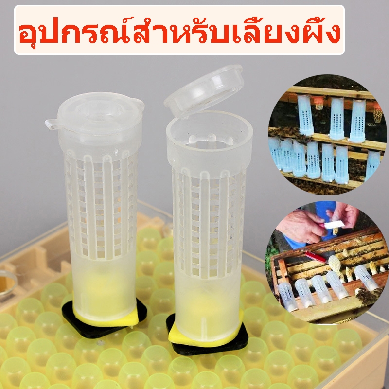ถูก🎉อุปกรณ์สำหรับเลี้ยงผึ้ง 5 ชิ้น หลอดเลี้ยงนางพญา เพาะนางพญา นางพญา เลี้ยงนางพญาผึ้ง หลอดกักนางพญา จับผึ้ง