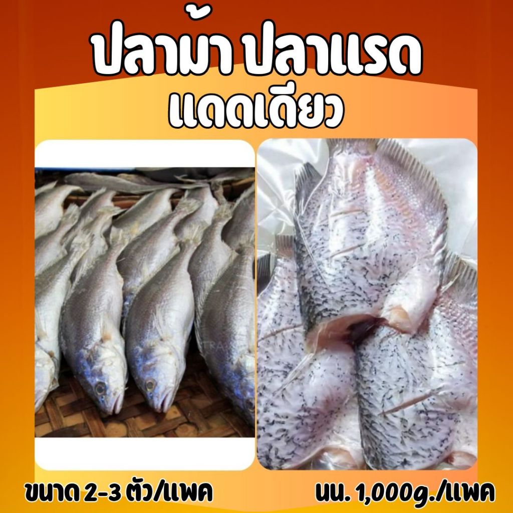 ปลาแรด ปลาปลาม้าแดดเดียว อร่อยเนื้อเยอะ ปลอดภัยไม่มีสารกันเสีย (นน.1,000g.)/แพค