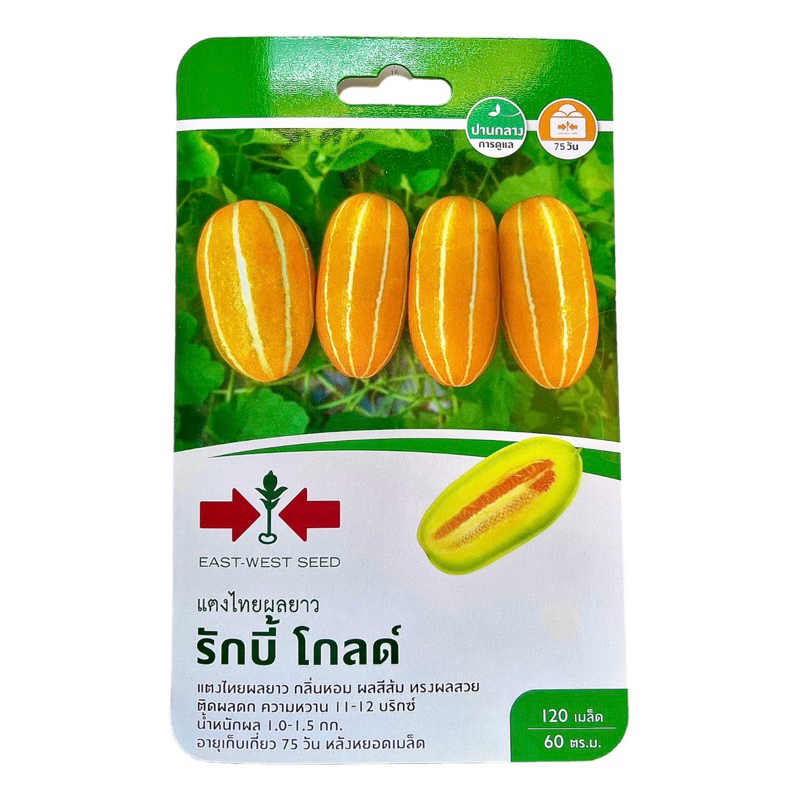 ศรแดง แตงไทย ผลยาว รักบี้ โกลด์ (120 เมล็ด)