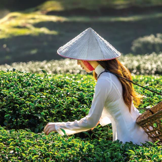[Dr.Aum] ผงชาเขียว มัทฉะ สารสกัดธรรมชาติ 4 ชนิด [Anti-oxidant+Energy] ขนาด 50 กรัม