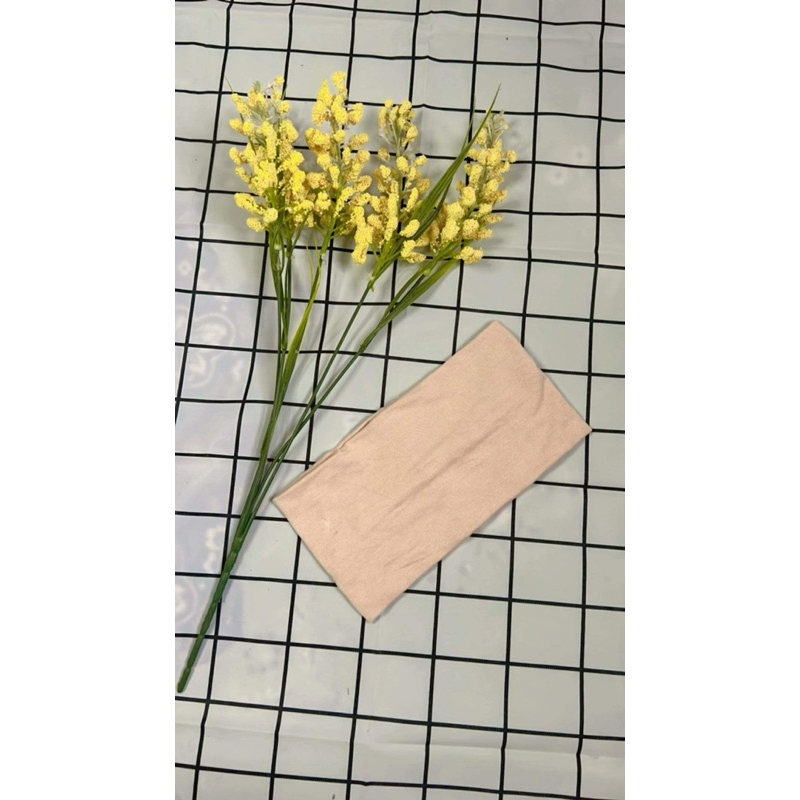 รูปภาพ 8