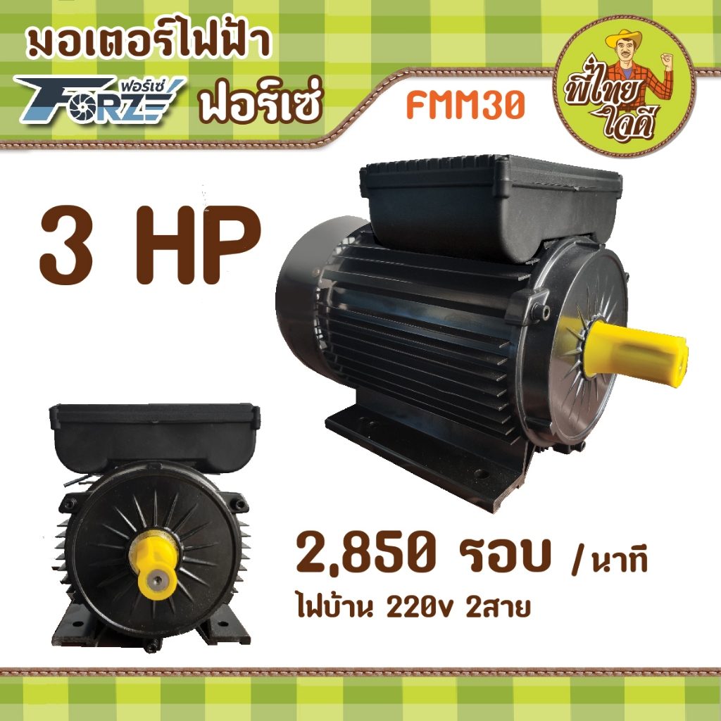 มอเตอร์รอบเร็ว ปั๊มพ่นยาแรงดันสูง ขนาด 3 แรงม้า ไฟบ้าน 220v (2,850 รอบ/นาที) (FMM30 / Forze)
