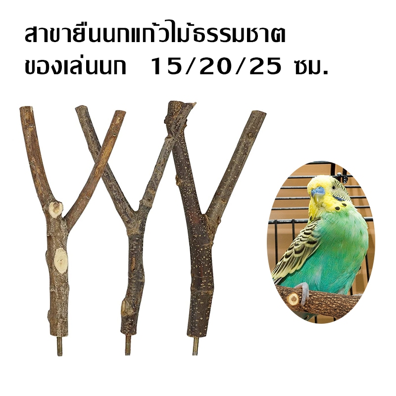 ที่ยืนนก คอนไม้สำหรับนกเกาะยืน ชุดขาตั้งนกคอน สาขายืนนกแก้วไม้ธรรมชาติ ของเล่นนก คอนไม้ธรรมชาติ คอนนกแก้ว คอนลับ นกเล็ก