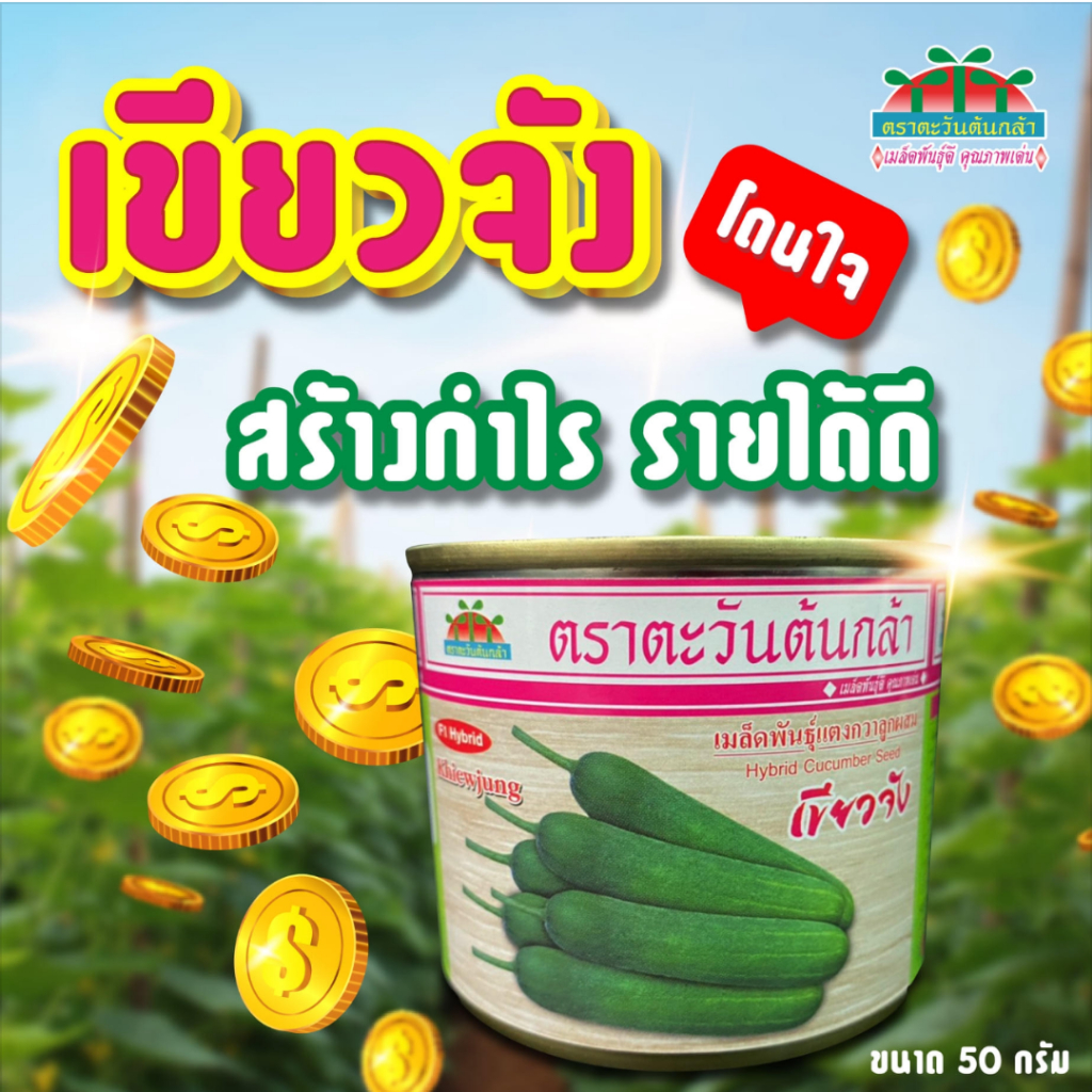 50กรัม แตงกวาเขียวจัง ตะวันต้นกล้า เมล็ดพันธุ์แตงกวา
