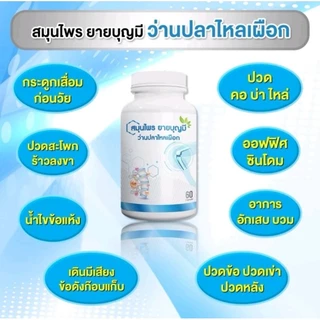 สมุนไพรยายบุญมี ว่านปลาไหลเผือก ปวดข้อ ปวดเข่า 1 กระปุก มี 60 เม็ด