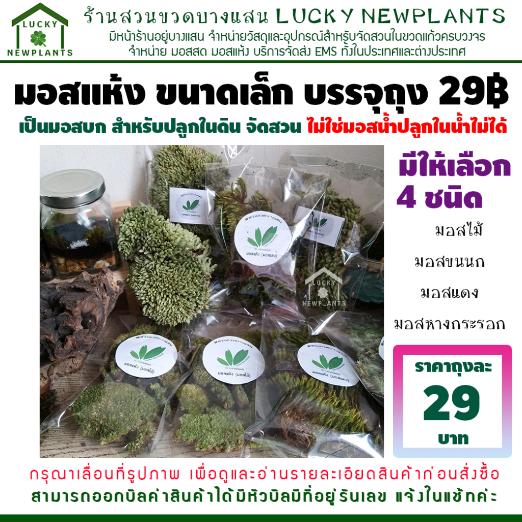 มอสแห้ง มอสสวนขวด มอสสวนถาด ถุงละ 29฿ เป็นมอสบกใช้ปลูกในน้ำไม่ได้
