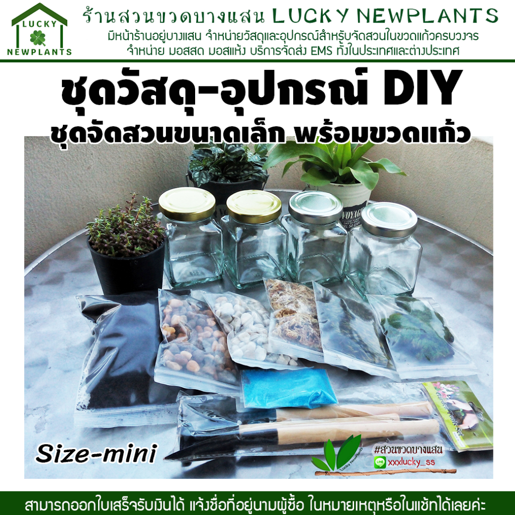 ชุดสวนขวด DIY ไซต์มินิ วัสดุอุปกรณ์ครบพร้อมคู่มือการจัดการดูแล