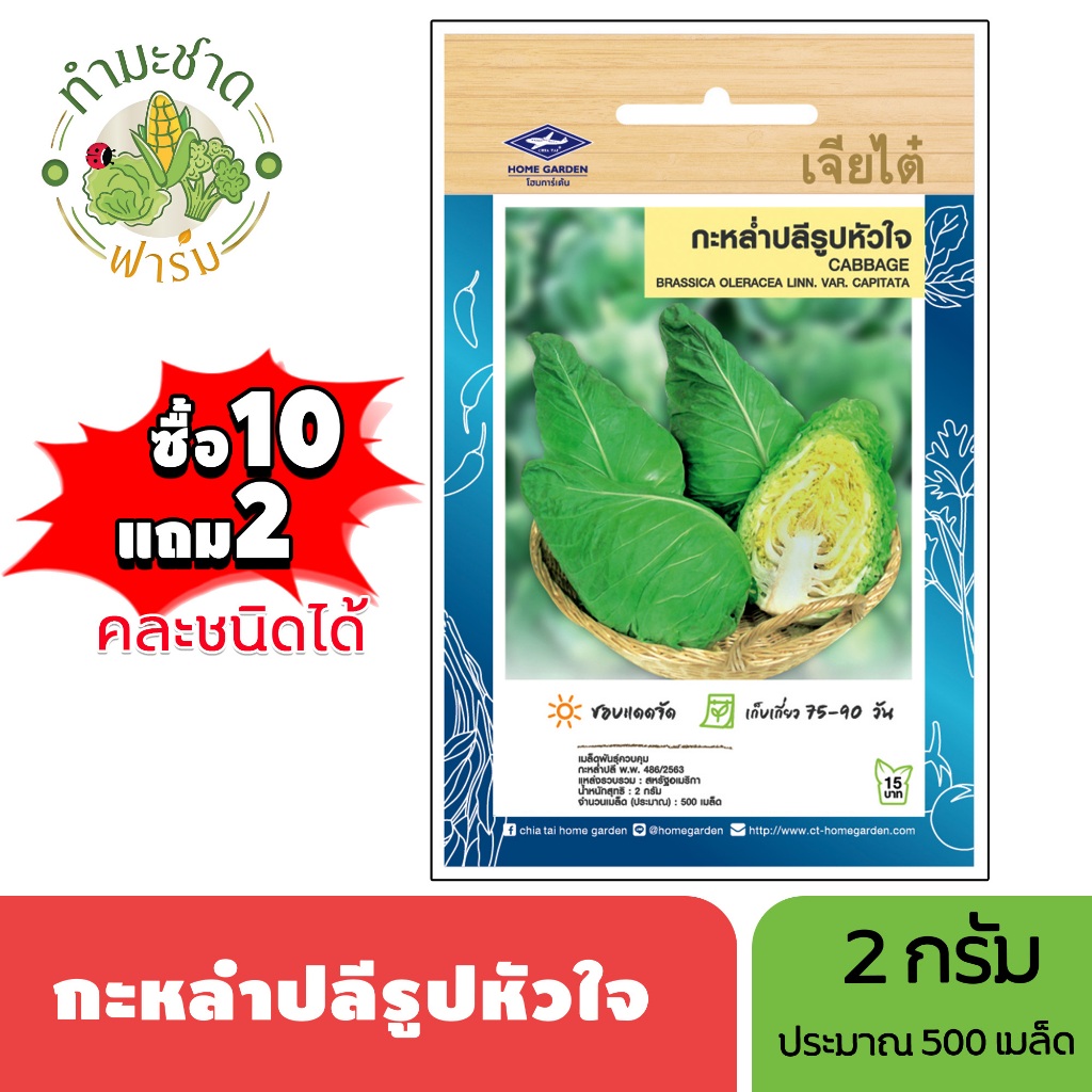 เจียไต๋ (ซื้อ10แถม2) เมล็ดพันธุ์ กะหล่ำปลีหัวใจ ขนาด2กรัม ประมาณ500เมล็ด Cabbage กะหล่ำปลี เมล็ดพันธุ์พืช เมล็ดผัก ปลูกผ