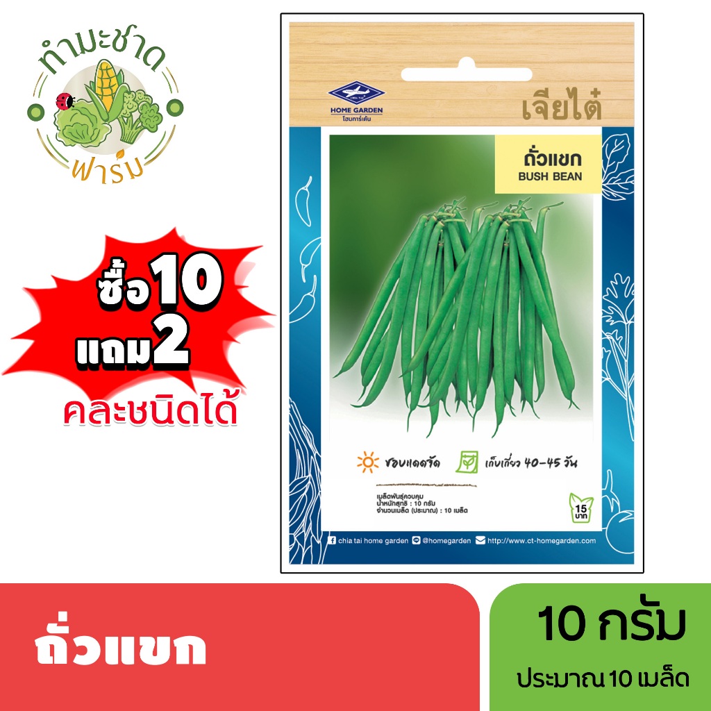 เจียไต๋ (ซื้อ10แถม2) เมล็ดพันธุ์ ถั่วแขก ขนาด10กรัม ประมาณ10เมล็ด Bush Bean ถั่ว เมล็ดพันธุ์พืช เมล็ดผัก ปลูกผักสวนครัว