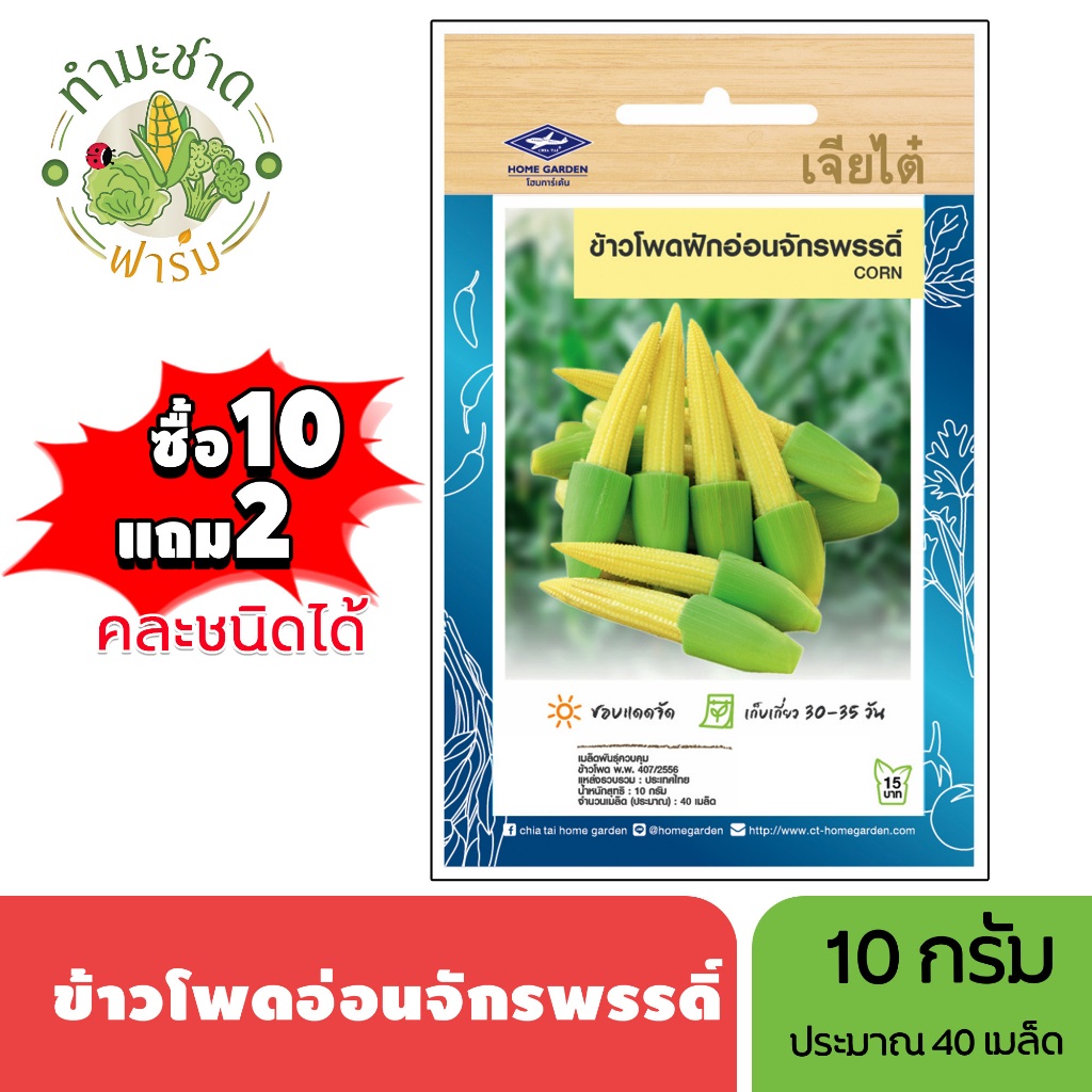 เจียไต๋ (ซื้อ10แถม2) เมล็ดพันธุ์ ข้าวโพดฝักอ่อนจักรพรรดิ์ ขนาด10กรัม ประมาณ40เมล็ด Baby Corn ข้าวโพดอ่อน เมล็ดพันธุ์พืช