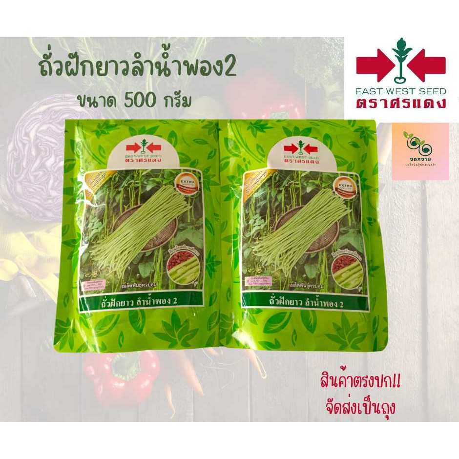 เมล็ดพันธุ์ถั่วฝักยาวลำน้ำพอง2 ขนาด 500 กรัม