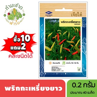 เจียไต๋ (ซื้อ10แถม2) เมล็ดพันธุ์ พริกกะเหรี่ยงยาว ขนาด0.2กรั…