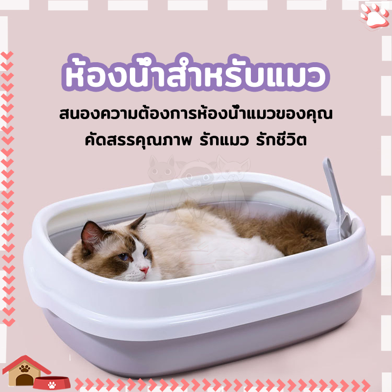 กระบะทรายแมว กระบะทราย พร้อมที่ตักทราย แถมฟรีที่ตักทราย. กบะทรายแมว ตัวฐานและขอบถอดแยกออกมาทำความสะอาดได้