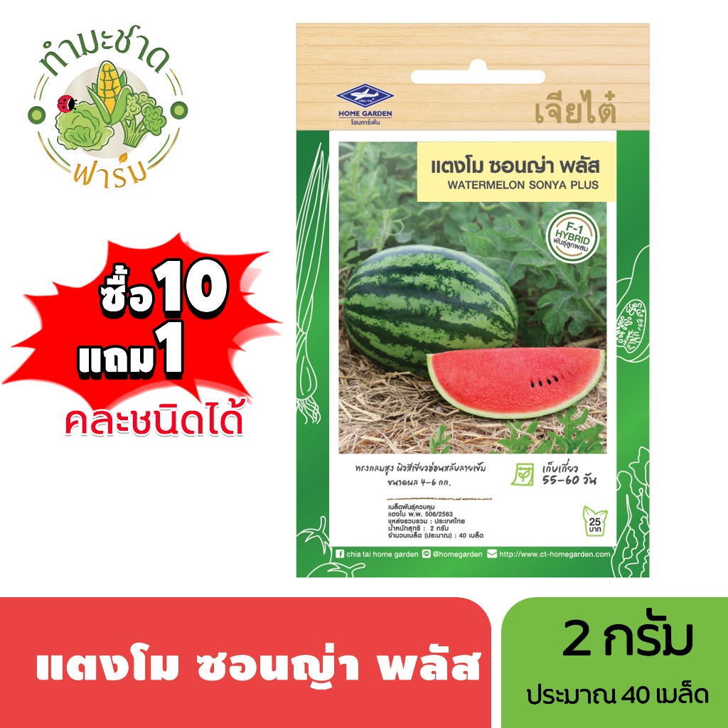 เจียไต๋ (ซื้อ10แถม1) แตงโม ซอนญ่า พลัส ขนาด2กรัม ประมาณ40เมล็ด Watermelon แตงโม เมล็ดพันธุ์พืช เมล็ดผัก ปลูกผักสวนครัว