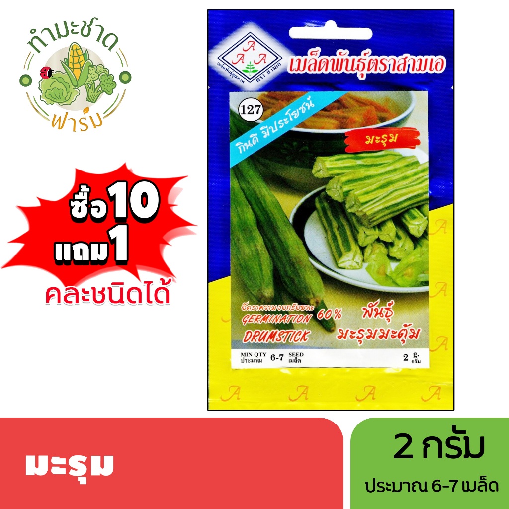 3A (ซื้อ10แถม1) เมล็ดพันธุ์ มะรุม ขนาด2กรัม ประมาณ6เมล็ด DRUMSTICK กาเน้งเดิง ผักเนื้อไก่ ผักอีฮึม ผักอีฮุม เมล็ดพันธุ์