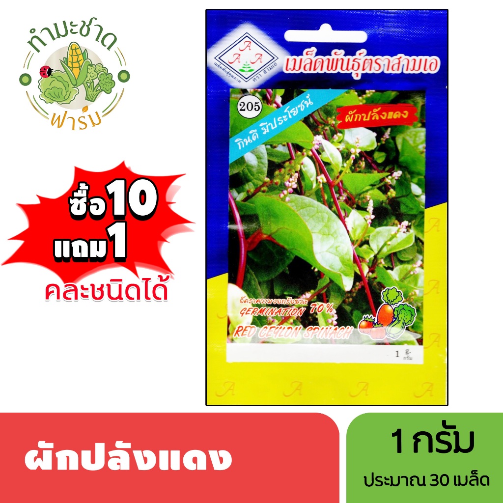 3A (ซื้อ10แถม1) เมล็ดพันธุ์ ผักปลังแดง ขนาด1กรัม ประมาณ30เมล็ด RED CEYLON SPINACH ผักปั๋ง เมล็ดพันธุ์พืช เมล็ดผัก
