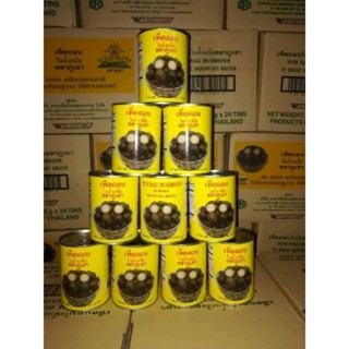 👉 เห็ดถอบในน้ำเกลือ กระป๋องเหลือง (500 กรัม)👉 ราคา 255 บาท /…