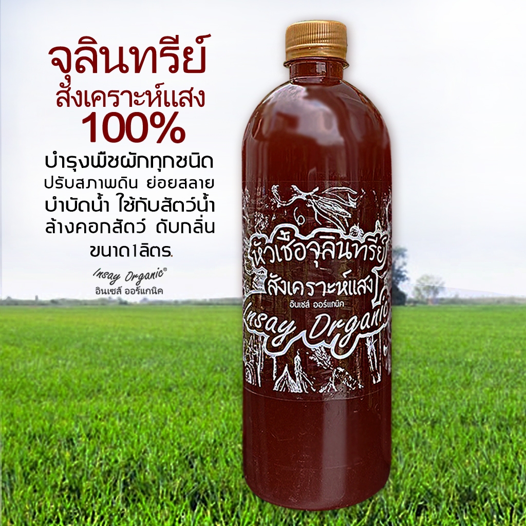 INSAY ORGANIC หัวเชื้อจุลินทรีย์สังเคราะห์แสง บำรุงพืชผัก หมักปุ๋ย ปรับสภาพดิน