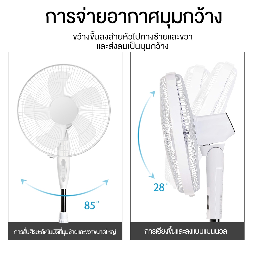 รูปภาพ 7