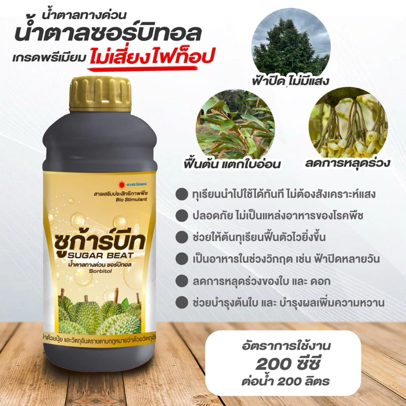 ชูก้าร์บีท 1 ลิตร ดวงตะวันเพชรน้ำตาลทางด่วนสำหรับทุเรียน น้ำตาลซอร์บิทอลไม่เสี่ยงไฟทอปธอร่า ช่วยลดการหลุดร่วงของดอกและผล