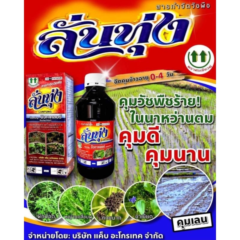 (แจกโค้ด20%กรอก INC768UQ ช่องโค้ดช้อปปี้)ลั่นทุ่ง(บิวทาคลอร์)1ลิตร สารคุมเลนในนาข้าว0-4วัน