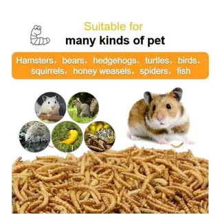 หนอนนก อบแห้ง 100g สำหรับเม่นแคระ ชูก้าไรเดอร์ เบียดดราก้อน หนูแฮมเตอร์ COD