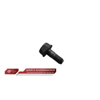น็อตสลักล็อคคาลิเปอร์เบรคหน้า แท้ นิสสัน  44141 AW70A 1 ชิ้น