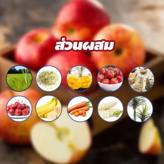 evebell อาหารเต่าบก อิกัวน่า Mix Fruit สูตรผลไม้รวม วิตามินสูง สารอาหารสูง ส่วนผสมจากผลไม้สด