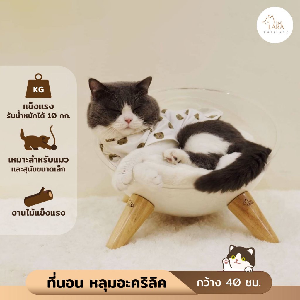 🌈ที่นอนแมว‼️ หลุมอะคริลิค​40ซม. ขนาดใหญ่​  ที่นอนแมวอะคริลิ​ค​ พร้อมส่ง ( A43 )