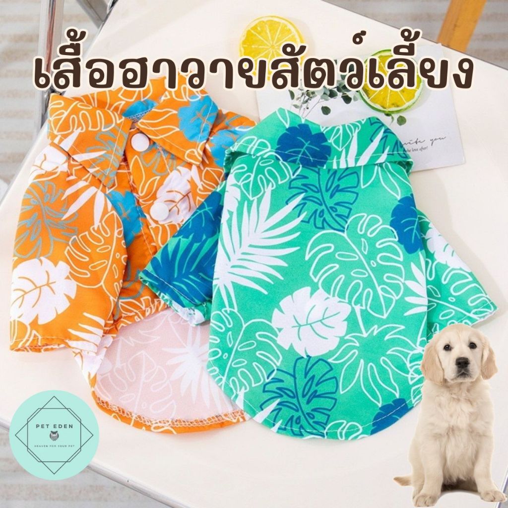 เสื้อฮาวายสัตว์เลี้ยง Beach Hawaii Pet Shirt แมว  หมา สุนัข ใส่เที่ยว เสื้อเชิ๊ตหมา