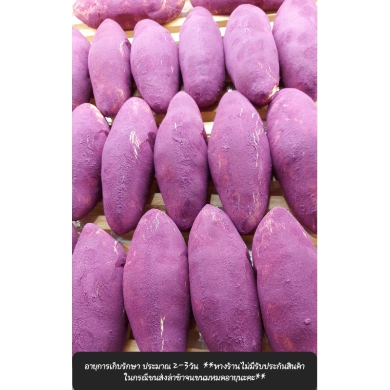 ขนมปังมันเทศยามาซากิ yamazaki   ราคา/1ชิ้น ส่งฟรี