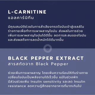 เผาผลาญไขมัน สำหรับผู้ชาย - IGNITE Men Fat Burner - Rocketeer - ตัวช่วยเบิร์น