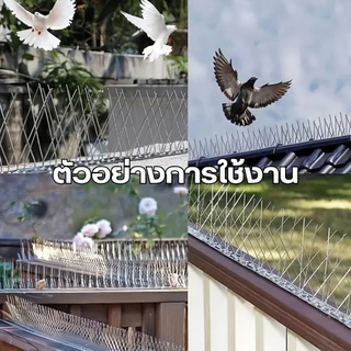 หนามกันนกเกาะ หนามกันนก กันนกเกาะ ยาวเส้นละ 50 ซม. หนาม 20 คุ่ อุปกรณ์ไล่นก ไล่นกพิราบ หนามไล่นก Bird Spikes