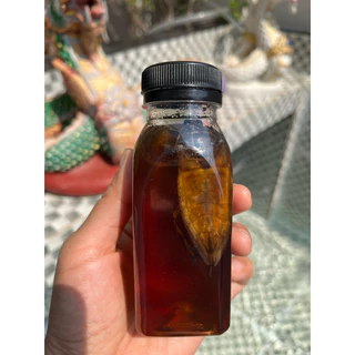 หัวเชื้อแมงดาแท้100% (แบบเข้นข้น)