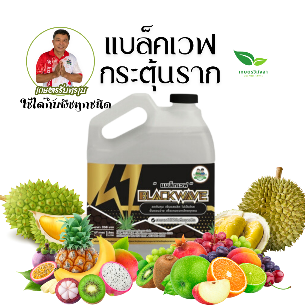 แบล็คเวฟ Blackwave กระตุ้นราก เกษตรรับทราบ คุณโรจน์
